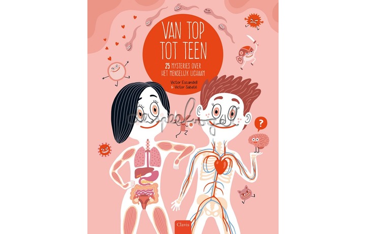 Van top tot teen 25 mysteries over het menselijk lichaam / Sabaté van