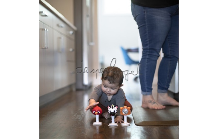 12359 Rattle & Jingle Trio Take-Along Toy Rattle Set 12359 Rattle & Jingle Trio Take-Along Toy Rattle Set