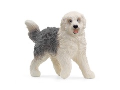 13968_old-english-sheepdog_main_rgb_46873.jpg