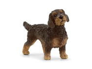 13972_wire-haired-dachshund_main_rgb_46877.jpg