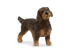 13972_wire-haired-dachshund_main_rgb_46877.jpg