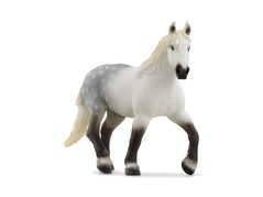 13971_percheron-mare_main_rgb_46876.jpg