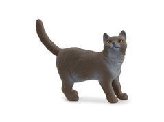 13973_british-shorthair-cat_main_rgb_46878.jpg