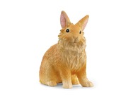 13974_lionhead-rabbit_main_rgb_46879.jpg