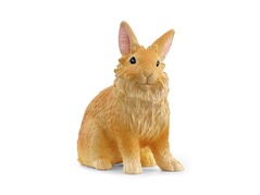 13974_lionhead-rabbit_main_rgb_46879.jpg