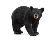 14869_american-black-bear_main_rgb_46839.jpg