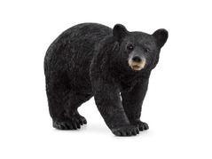 14869_american-black-bear_main_rgb_46839.jpg