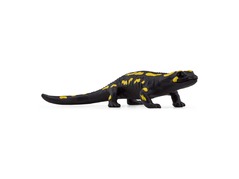 14870_fire-salamander_main_rgb_46827.jpg