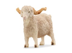 13970_angora-goat_main_rgb_46875.jpg