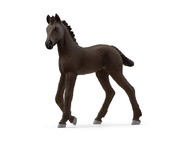 13977_friesian-foal_main_rgb_46977.jpg