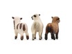 42660_sheep-friends_func_rgb_47031.jpg