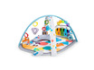 11749 Baby Einstein - 4-in-1 Kickin' Tunes Music Discovery Gym 11749z.jpg