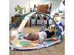 11749 Baby Einstein - 4-in-1 Kickin' Tunes Music Discovery Gym 11749g.jpg