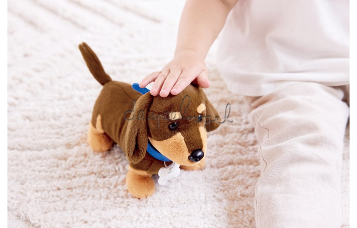 E3229 Puppy Care Clinic Vet Set E3229 Puppy Care Clinic Vet Set