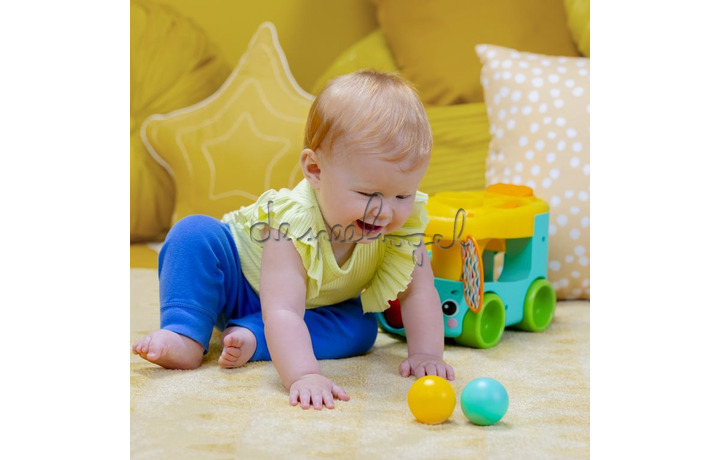 16827 Pop & Roll Safari Bus Ball Play Toy 16827 Pop & Roll Safari Bus Ball Play Toy