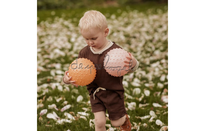 Set van 2 SENSORY BALLS / ROZEBRUIN & ROODBRUIN diam.15cm Set van 2 SENSORY BALLS / ROZEBRUIN & ROODBRUIN diam.15cm