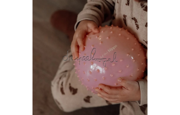 Set van 2 SENSORY BALLS / ROZEBRUIN & ROODBRUIN diam.15cm Set van 2 SENSORY BALLS / ROZEBRUIN & ROODBRUIN diam.15cm