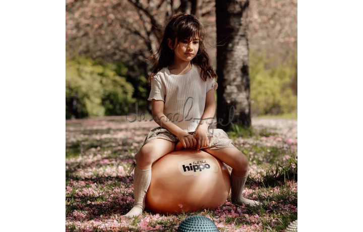 SPRINGBAL / ORANJE diam.45cm SPRINGBAL / ORANJE diam.45cm