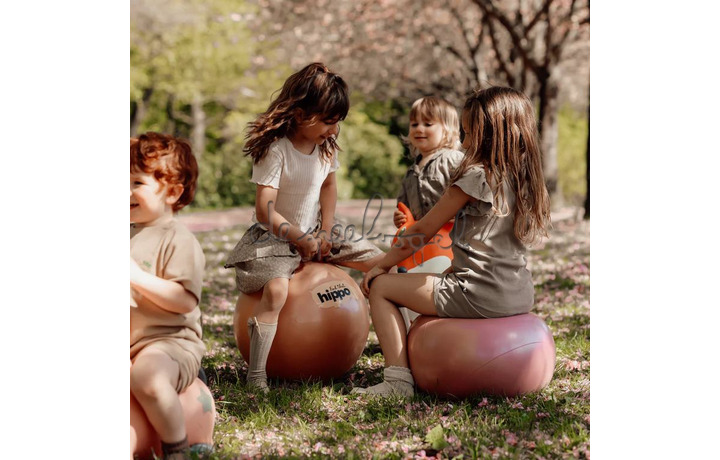 SPRINGBAL / ORANJE diam.45cm SPRINGBAL / ORANJE diam.45cm