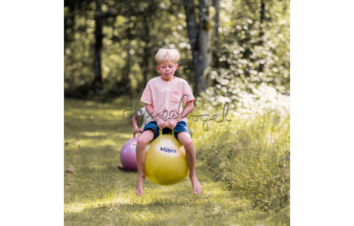 SPRINGBAL / GOUD diam.45cm SPRINGBAL / GOUD diam.45cm