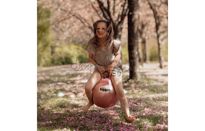 SPRINGBAL / ROZE diam.45cm SPRINGBAL / ROZE diam.45cm