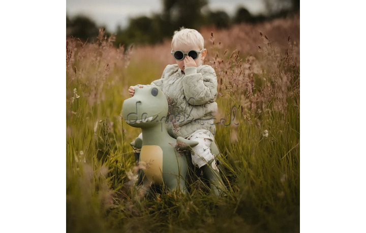 SPRINGDIER / DINO DEXTER SPRINGDIER / DINO DEXTER