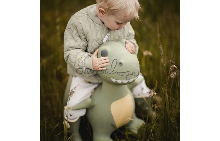 SPRINGDIER / DINO DEXTER SPRINGDIER / DINO DEXTER