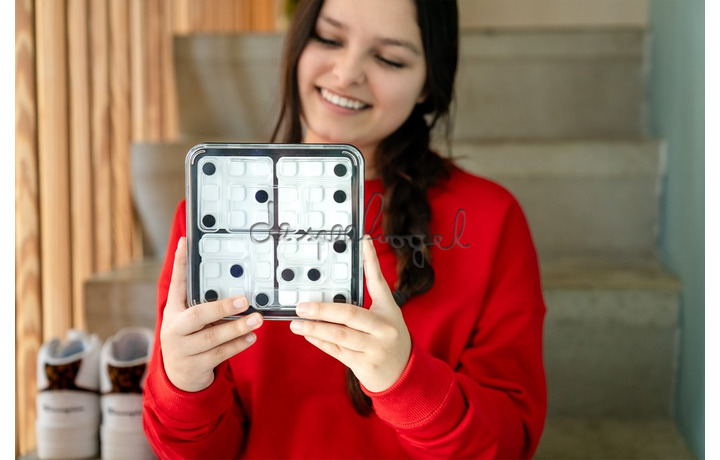 SG 453 Dice Deduction SG 453 Dice Deduction