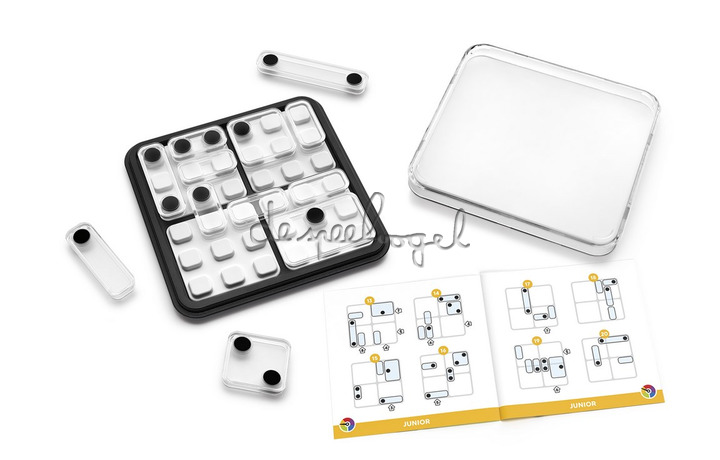 SG 453 Dice Deduction SG 453 Dice Deduction