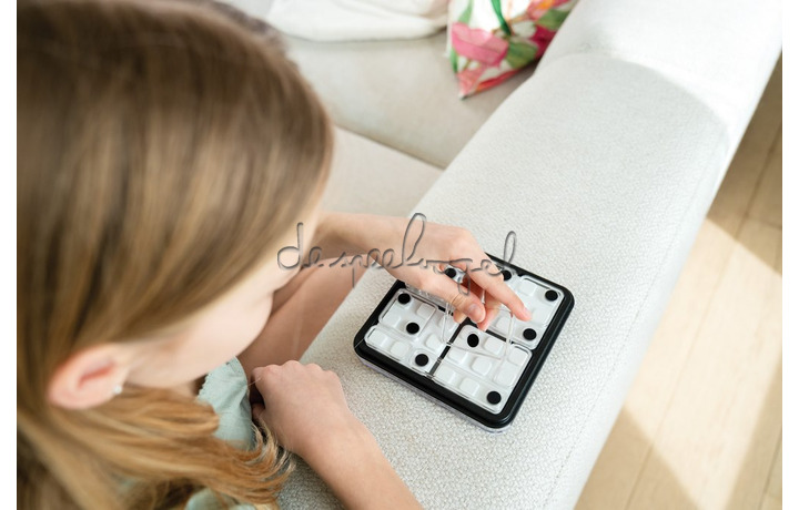 SG 453 Dice Deduction SG 453 Dice Deduction