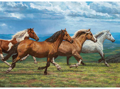 45632 80186 Cobble Hill puzzle 1000 pieces - Windswept 80186-windswept.jpg