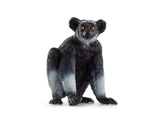 45689 14877 Indri, Wild Life 14877.jpg