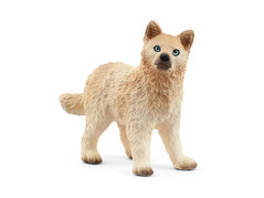 45678 14881 Poolwolf-Puppy, Wild Life 14881.jpg