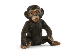 45680 14884 Chimpanseejong, Wild Life 14884.jpg