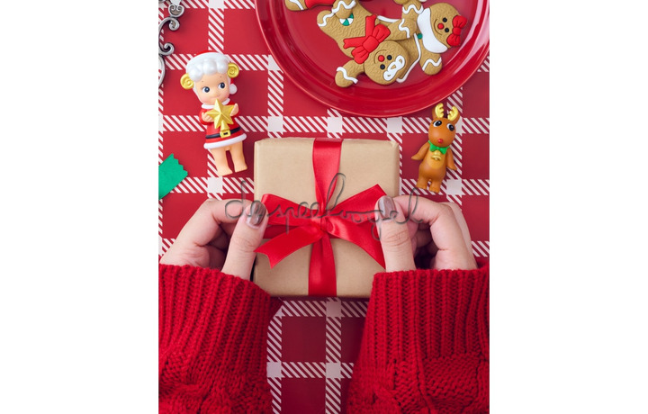 Sonny Angel Santa's Little Helper serie (Christmas 2025) Sonny Angel Santa's Little Helper serie (Christmas 2025)