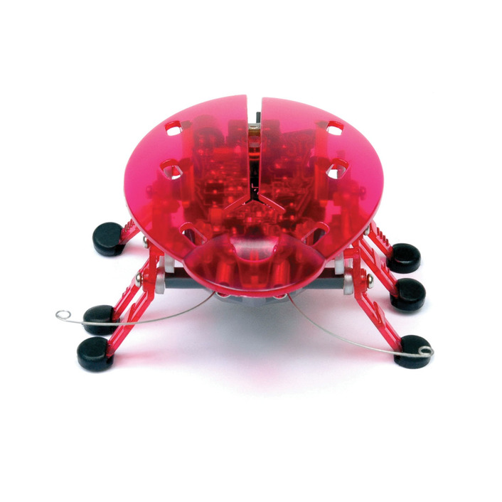 <span class="brand-primary">Hexbug</span>