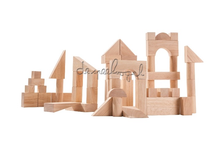 5502 grote houten blokken 50 stuks