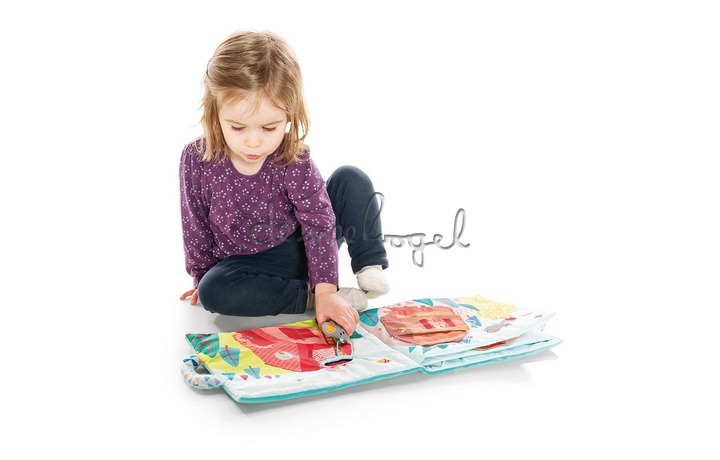 86862 Boek De wolf en de 3 biggetjes