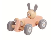 5717BunnyRacingCar5.jpg