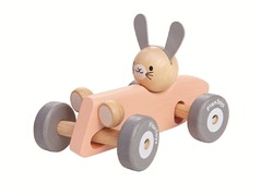 5717BunnyRacingCar5.jpg