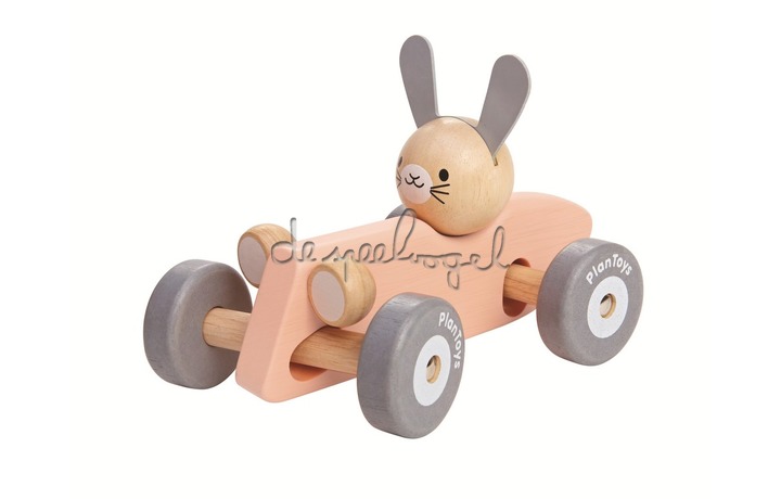 5717 PlanLifestyle - Bunny Racing Car