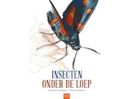 insectenonderdeloep.jpg