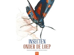 insectenonderdeloep.jpg