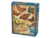 85006-backyard-butterflies-pkg-lrg.jpg