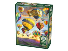 80025-hot-air-balloons-pkg-lrg.jpg
