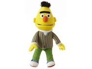 SE701_Bert.jpg