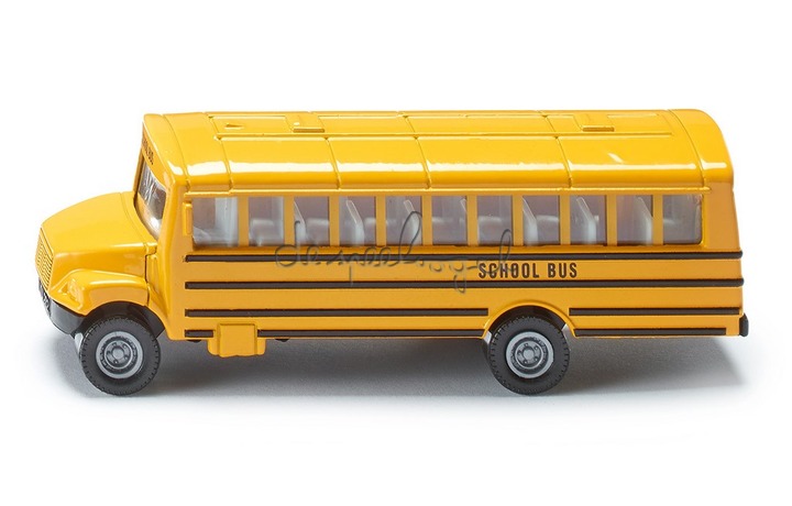 1319 Amerikaanse schoolbus