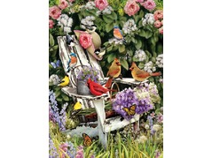 80090-summer-adirondack-birds.jpg