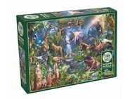 80210_BOX.jpg