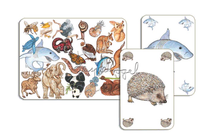 DJ05153 Spel - Zanimatch DJ05153 Spel - Zanimatch